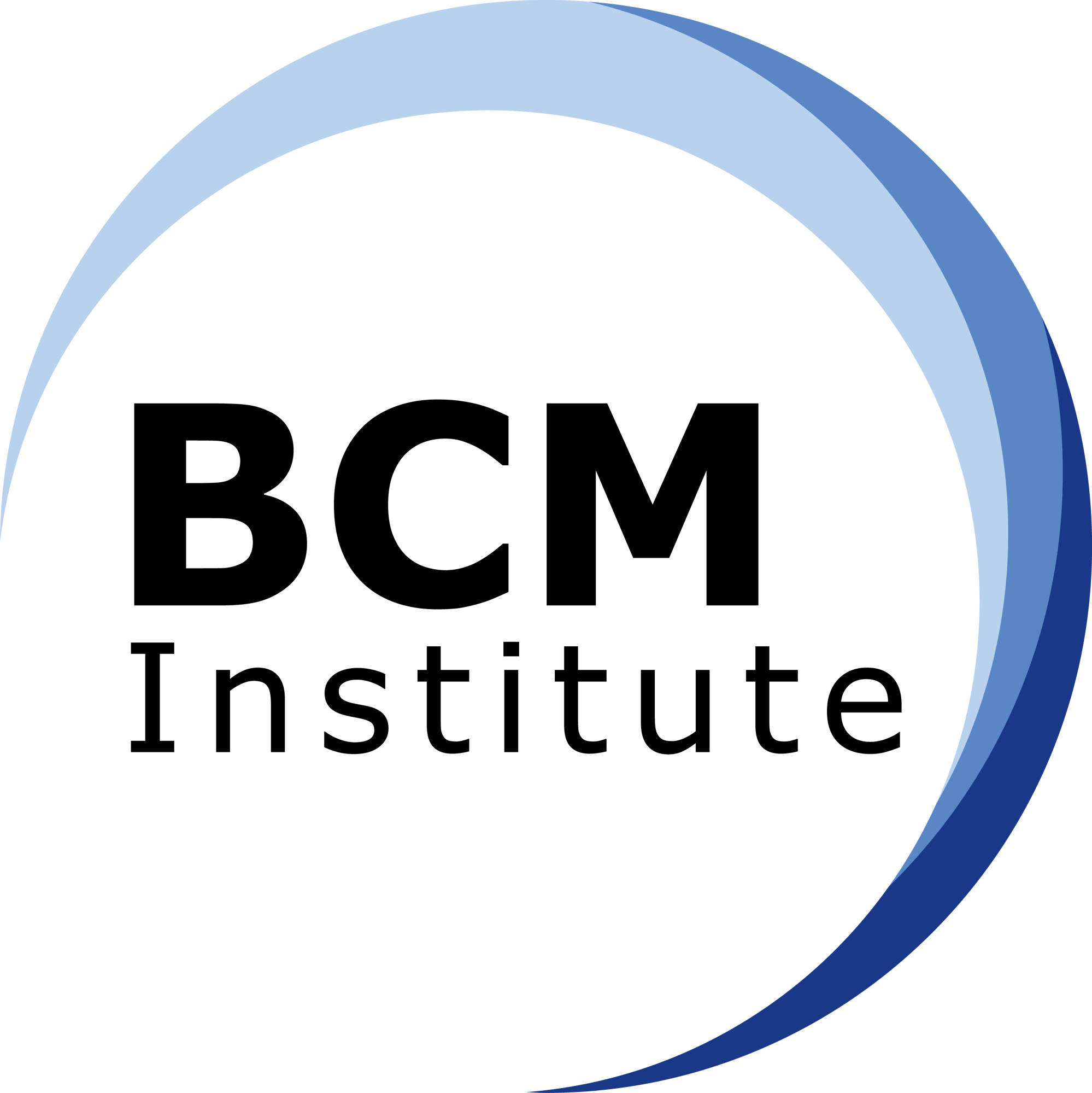 BCM Institute High Resolution Logo