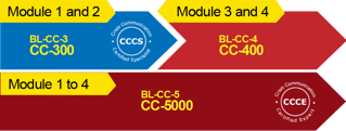 2Phase BL-CC-5 CC-5000